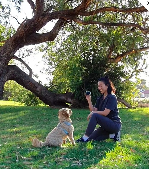 Dr Su-en Chua spending time with a dog outdoors